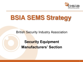 BSIA SEMS Strategy