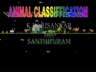 ANIMAL CLASSIFFICATION