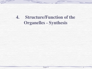 4.	Structure/Function of the Organelles - Synthesis