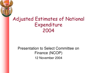 Adjusted Estimates of National Expenditure  2004