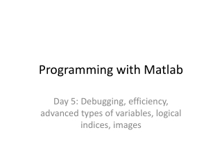 Programming with Matlab