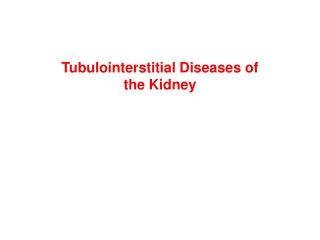 Tubulointerstitial Diseases of the Kidney