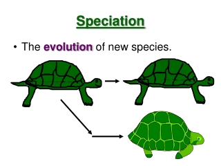 Speciation