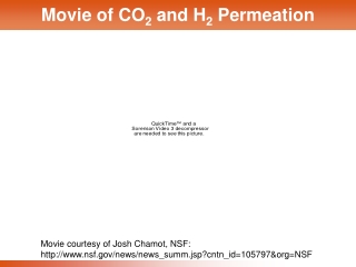 Movie of CO 2  and H 2  Permeation