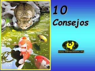 10 Consejos …
