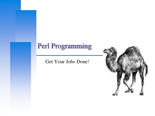 Perl Programming