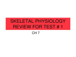 SKELETAL PHYSIOLOGY REVIEW FOR TEST # 1