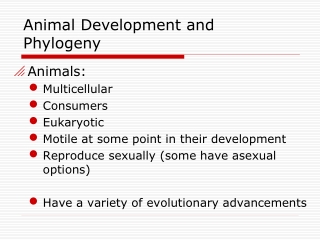 Animal Development and Phylogeny