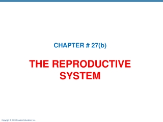 THE REPRODUCTIVE SYSTEM