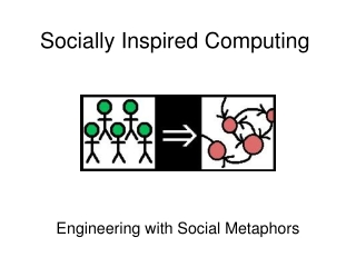 Socially Inspired Computing