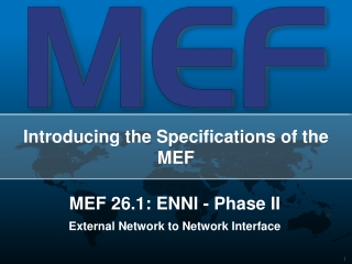 Introducing the Specifications of the MEF