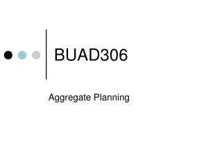 BUAD306