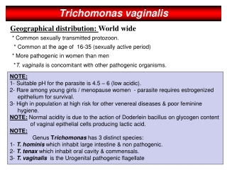 Trichomonas vaginalis