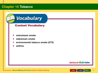 Content Vocabulary