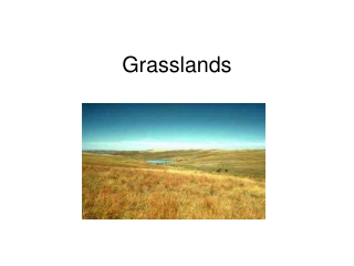 Grasslands