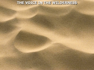 THE VOICE IN THE WILDERNESS