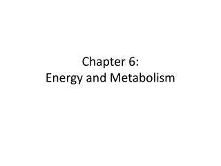 Chapter 6:  Energy and Metabolism