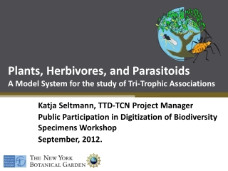 Plants, Herbivores, and Parasitoids A Model System for the study of Tri-Trophic Associations