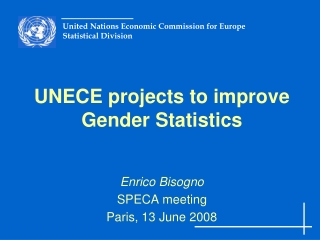 UNECE projects to improve Gender Statistics