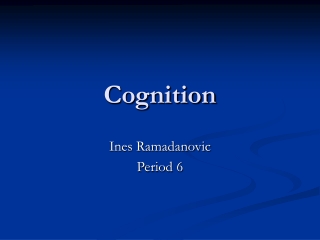 Cognition