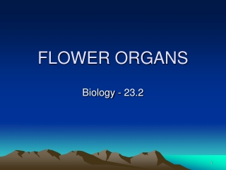 FLOWER ORGANS