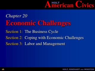 Chapter 20 Economic Challenges