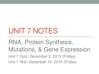 Unit 7 Notes