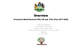 Overview Provincial Multi-Sectoral HIV, TB and  STIs Plan 2017-2022