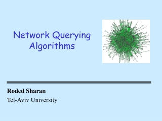 Network Querying Algorithms