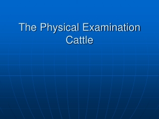 The Physical Examination Cattle