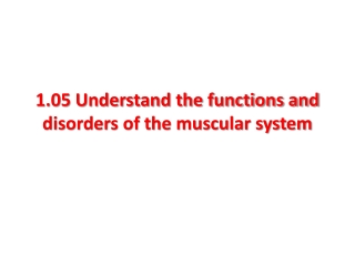 1.05 Understand the functions and disorders of the muscular system