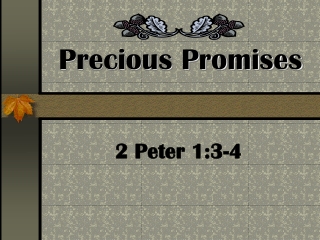 Precious Promises