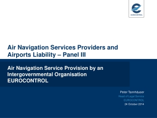 Air Navigation Services Providers and Airports Liability – Panel III