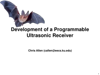 Development of a Programmable  Ultrasonic Receiver