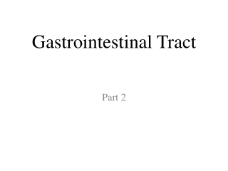 Gastrointestinal Tract