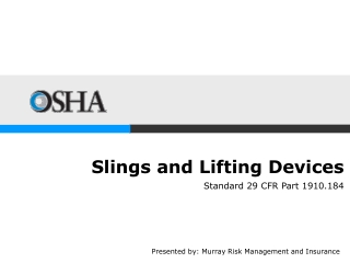 Slings and Lifting Devices