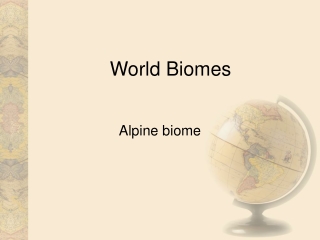 World Biomes