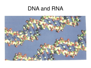 DNA and RNA