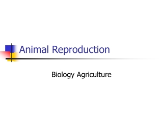 Animal Reproduction