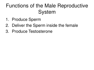 Functions of the Male Reproductive System