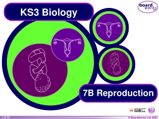 KS3 Biology