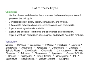 Unit 6:  The Cell Cycle