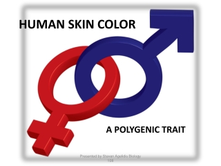 HUMAN SKIN COLOR