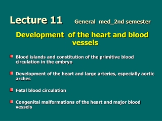 Lecture 11	 General  med_2nd semester