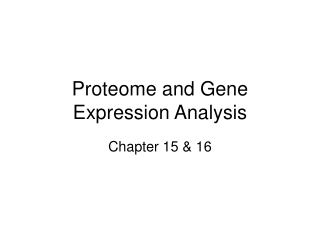 Proteome and Gene Expression Analysis