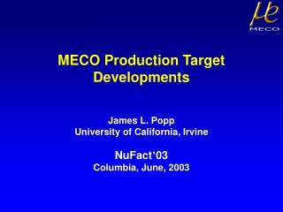 MECO Production Target Developments