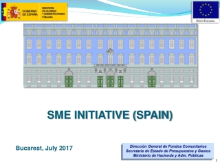 SME INITIATIVE ( spain )