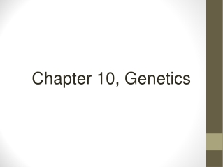 Chapter 10, Genetics