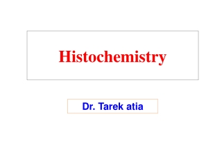 Dr. Tarek atia