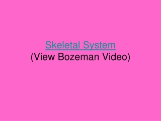 Skeletal System (View Bozeman Video)